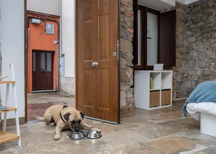 Loft Cimadevilla Vicaria * Gijón